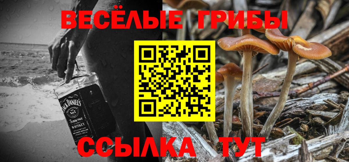 Зеленодольск  Галлюциногенные грибы GOLDEN TEACHER  Вход с VPN 