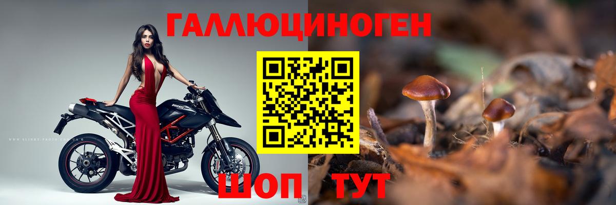 Гашиш  Марихуана  Мефедрон кристаллы  COCAIN  Экстази  Зеленодольск  Вход с VPN  ТГК 